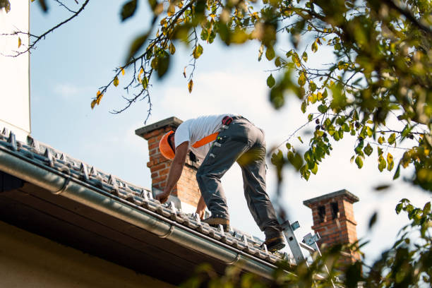 Best Sealant for Roof  in La Honda, CA