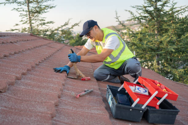 Best Affordable Roofing Company  in La Honda, CA